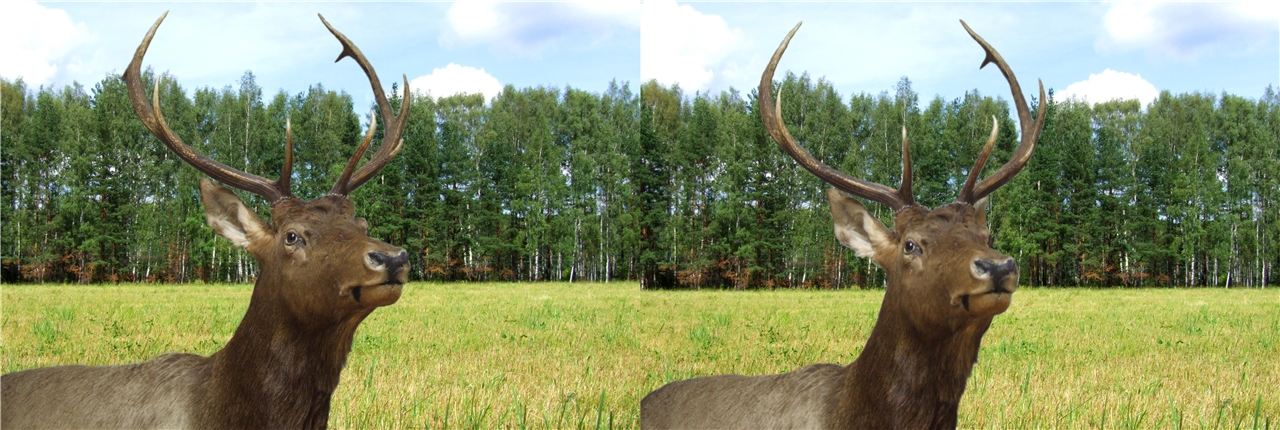 vr ���������� �����