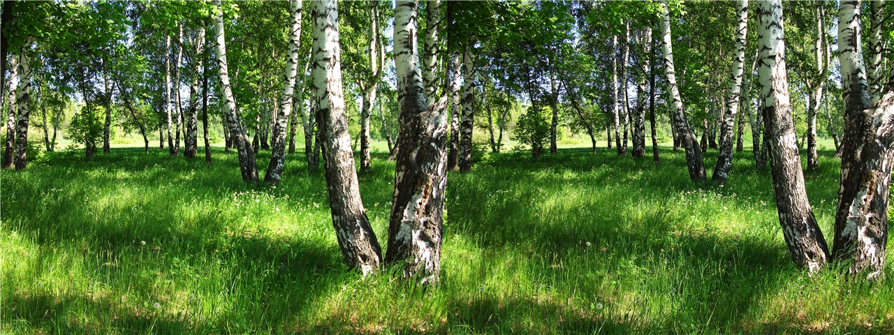 vr �������� ����