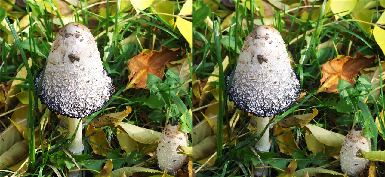 vr �������� �����