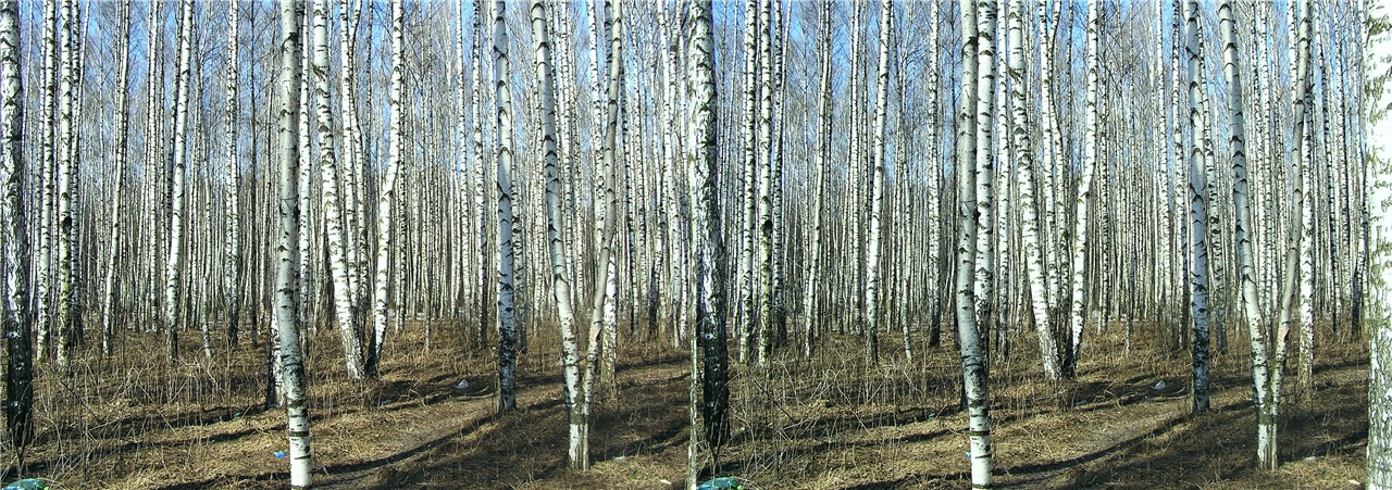 vr ����� � ��������� ����