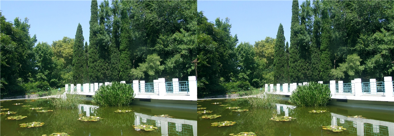 vr ���������