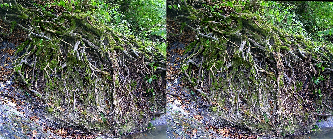 vr ����� ������