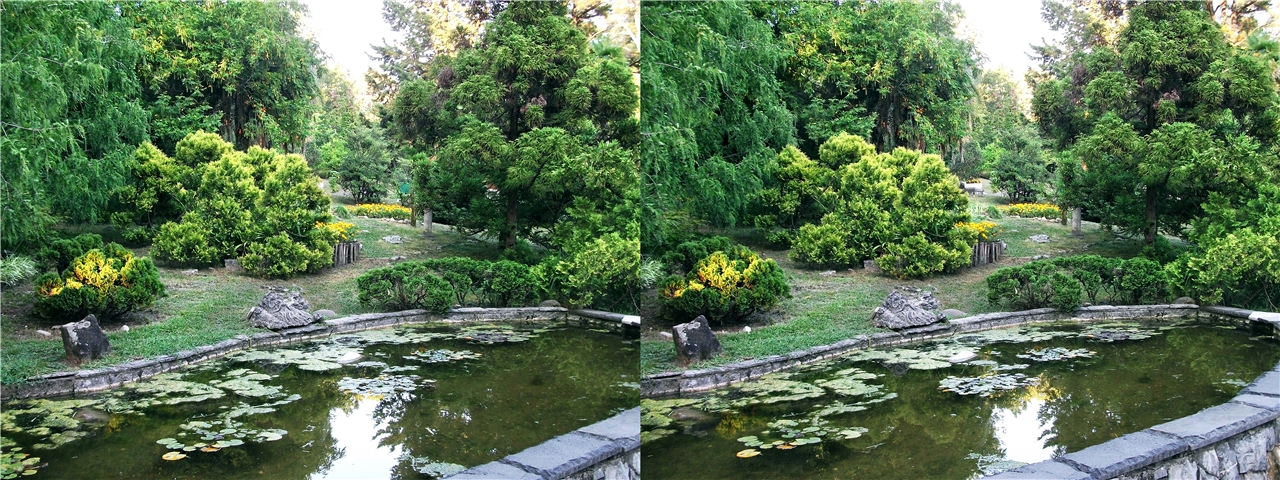 ��������� vr