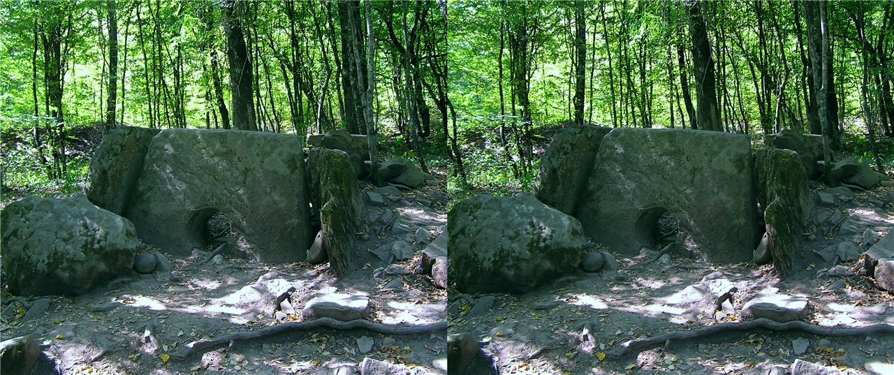 ������� � ������ ���� ����