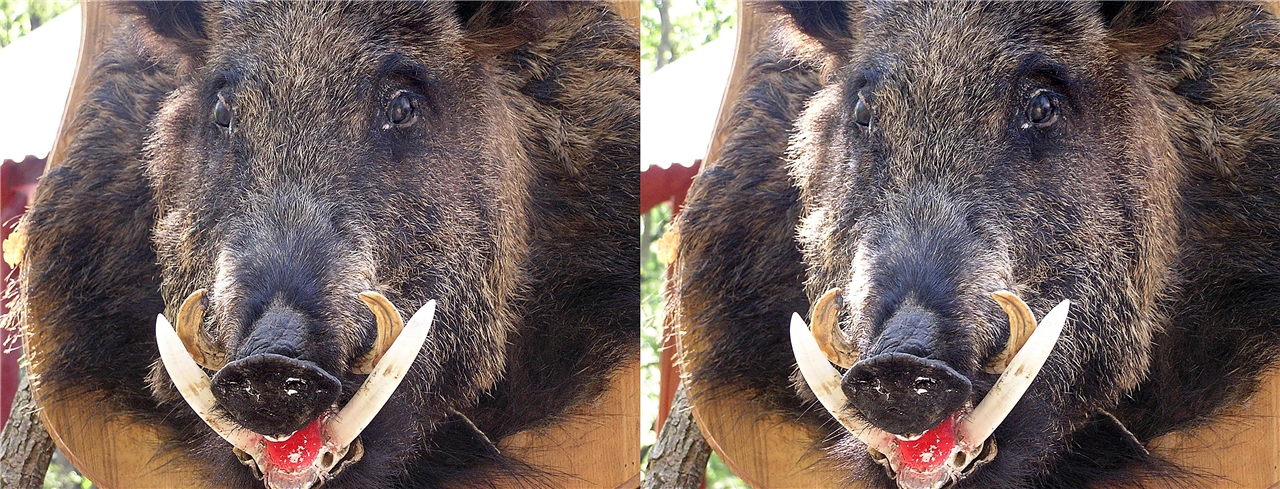 vr ���� ������