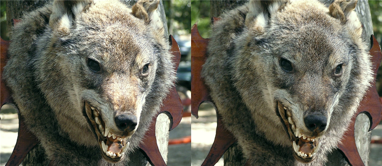 vr ���� �����