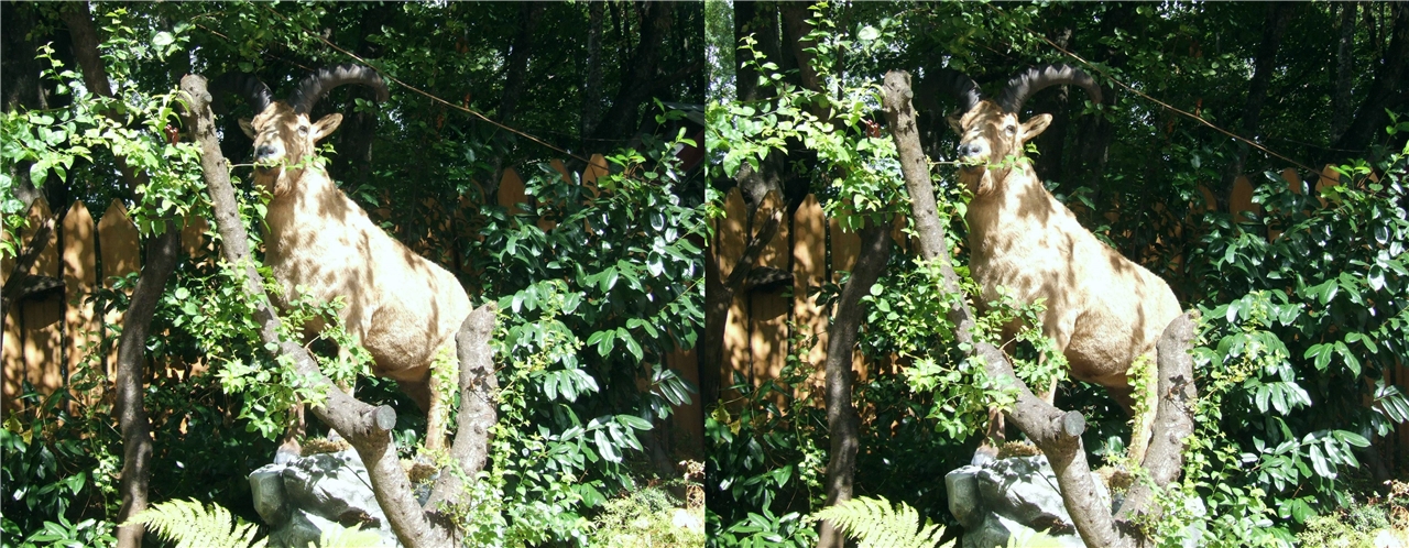 vr ������ �����