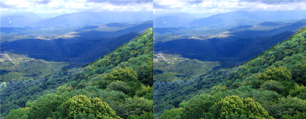 vr ������ ������