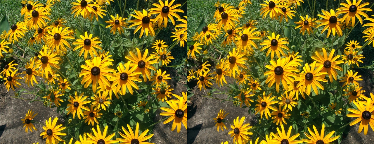 ������� vr