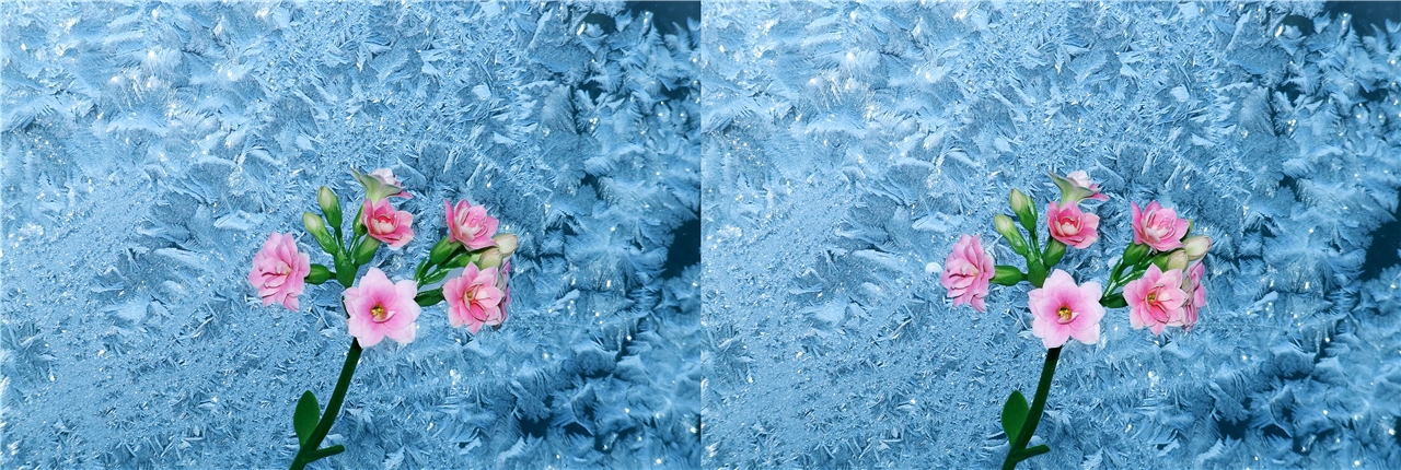 �������� vr