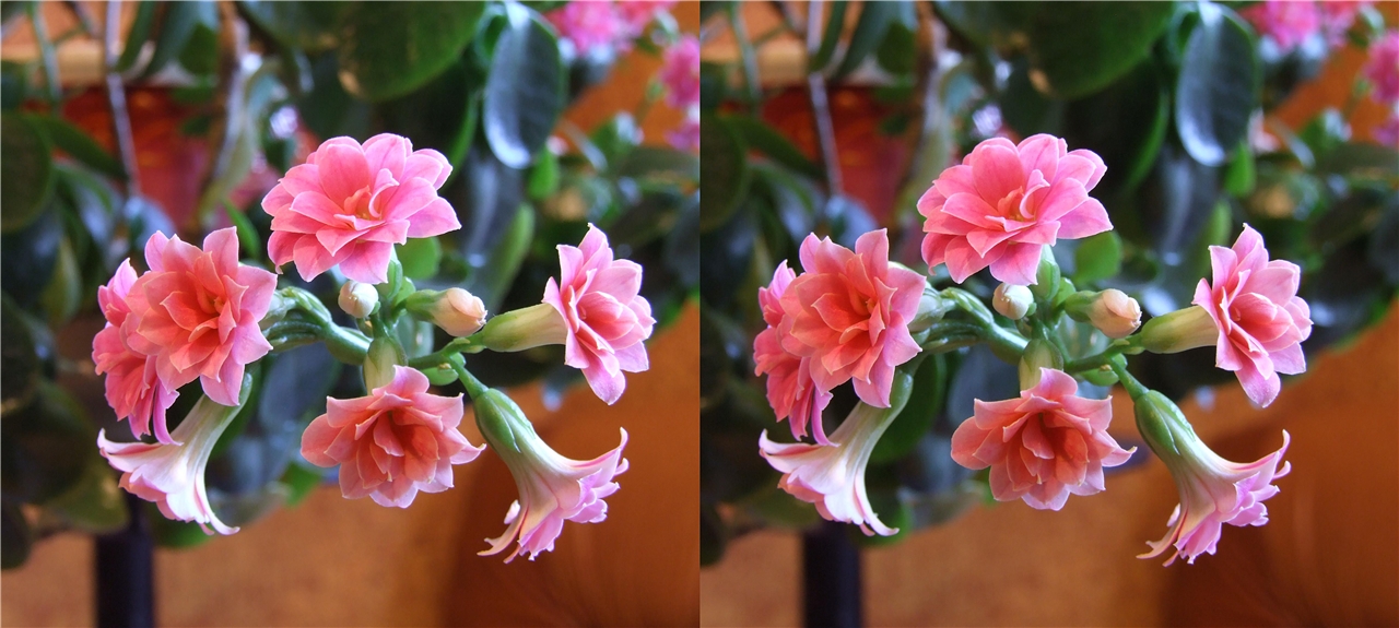 vr ��������