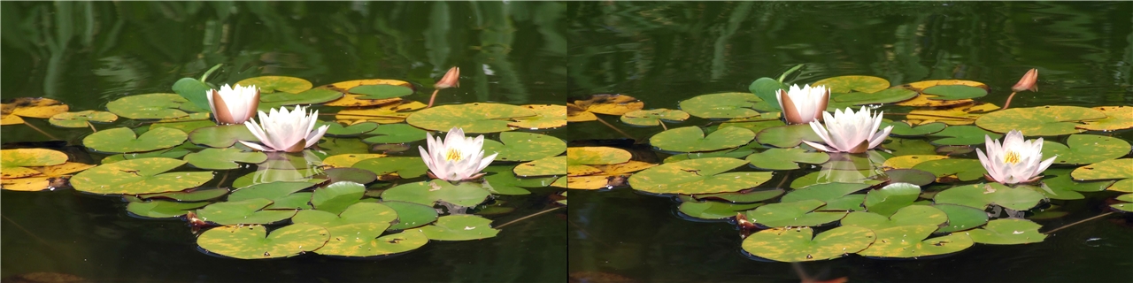 vr ����� ������