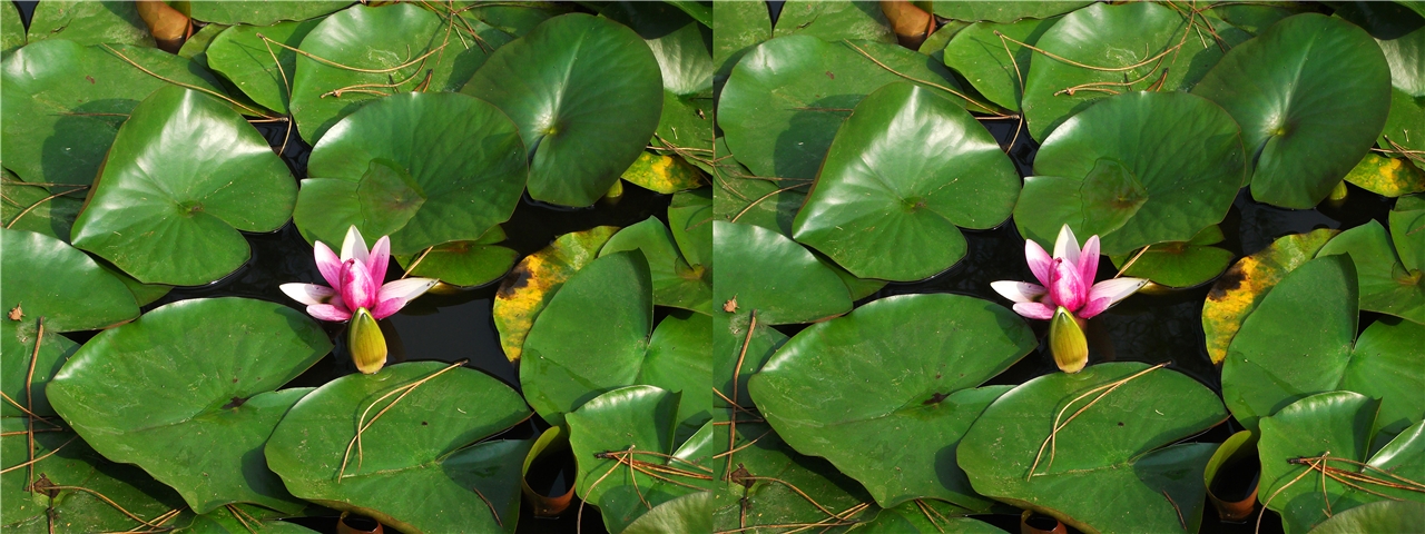 vr ����� ������