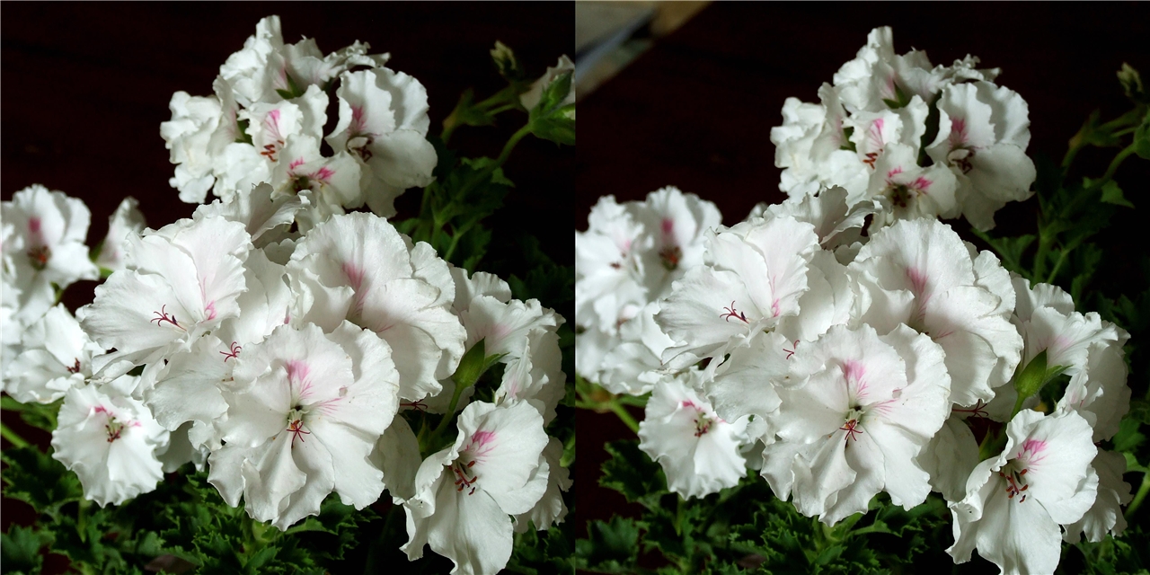 vr �������