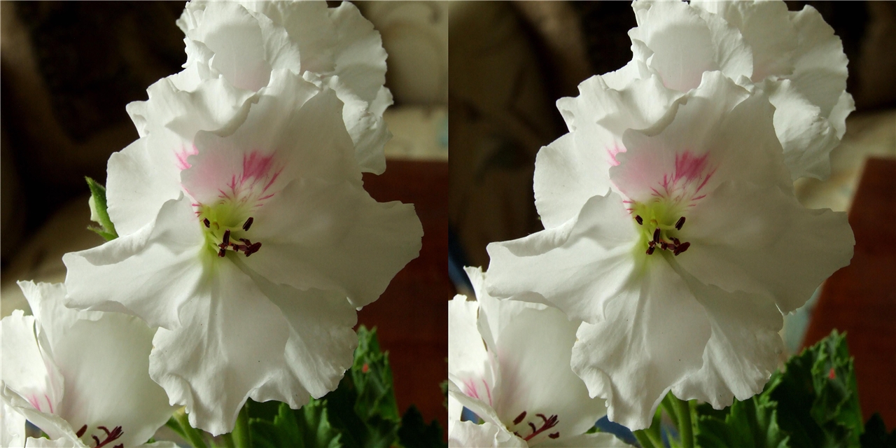 vr ������ ��������