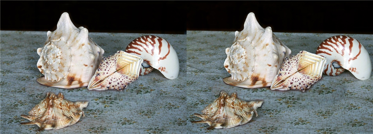 vr ��������� ��������