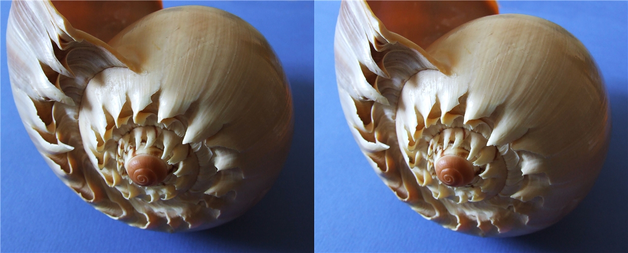 vr �������� 3�