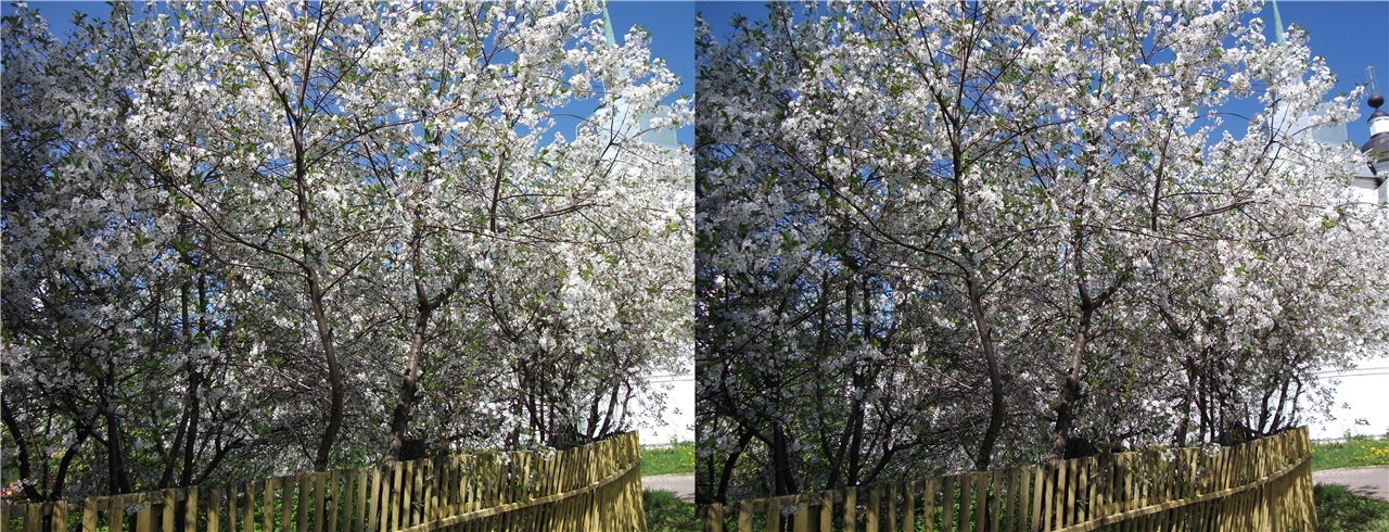 vr �������� �����