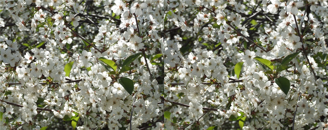 vr �������� ����