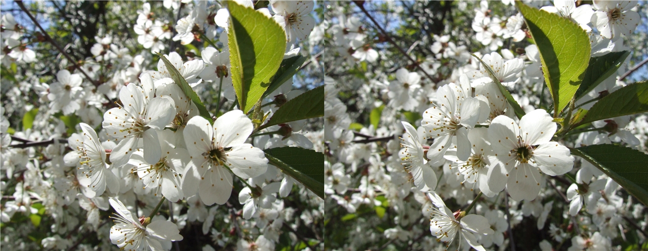 vr �������� ����