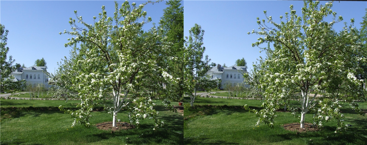 vr ������